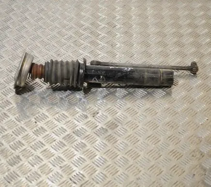 BMW X1 E84 Front shock absorber/damper