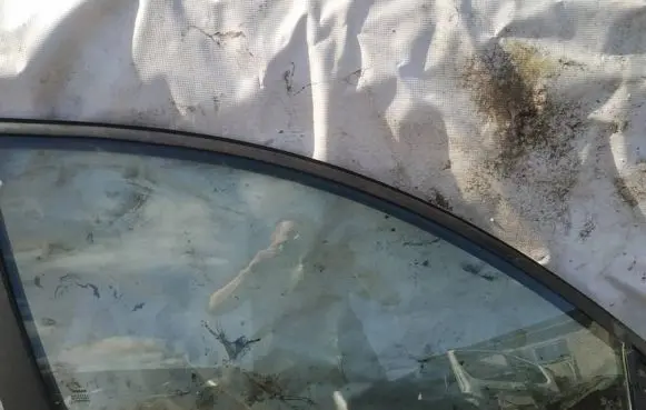 Nissan Primera Front door window glass four-door