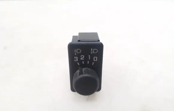 Nissan Terrano Light switch 251900F000