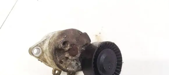 BMW X5 E53 Generator/alternator belt tensioner 