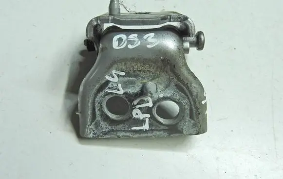 Citroen DS3 Front door hinge set 