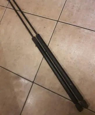 Tailgate/trunk strut/damper