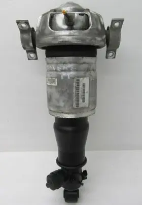 Porsche Cayenne (9PA) Rear shock absorber/damper