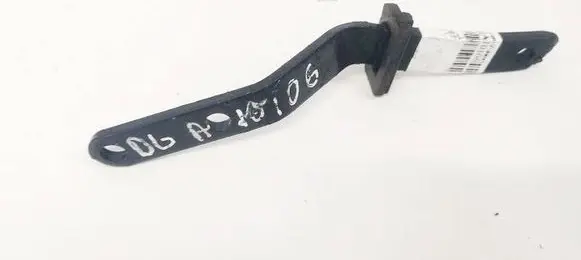Tailgate/trunk/boot hinge