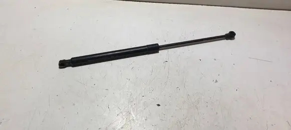 Tailgate/trunk strut/damper