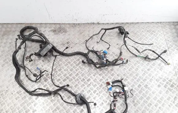 Honda Jazz Other wiring loom