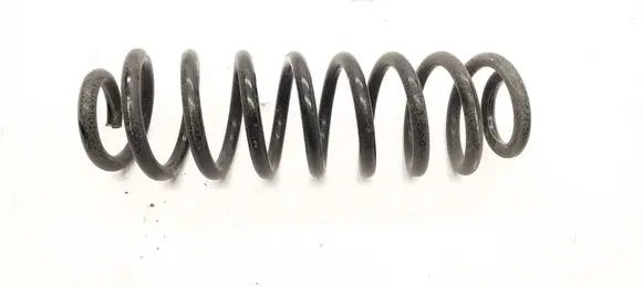 Rear coil spring