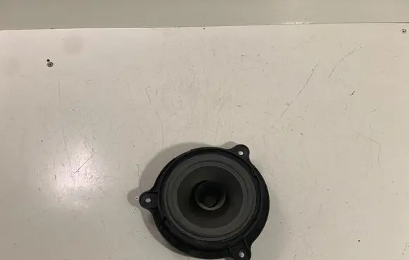 Renault Koleos I Rear door speaker 7606500254