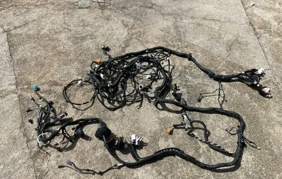 Renault Megane E-Tech Wiring harness 240106119R