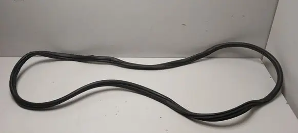 BMW X2 U10 Rubber seal rear door 5A2FC31 5A34560