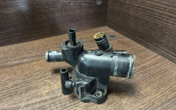 Thermostat/thermostat housing