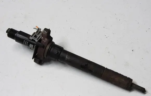 Citroen C5 Fuel injector 9688438580 EJBR06001D 0073BC13F63