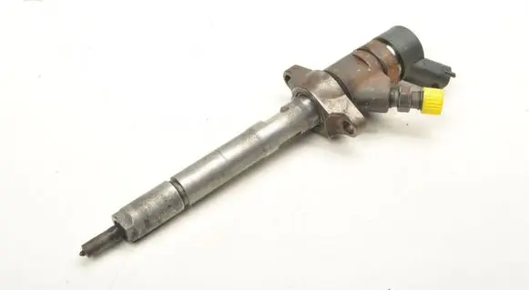 Citroen C4 I Picasso Fuel injector 0445110259