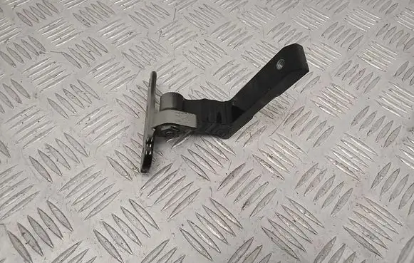 Polestar 2 Rear door lower hinge 31662686