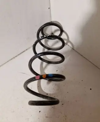 Rear coil spring
