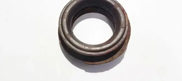 Coil spring mount