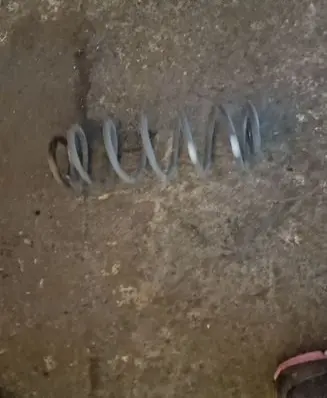 Honda Civic Rear coil spring