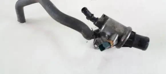Thermostat/thermostat housing