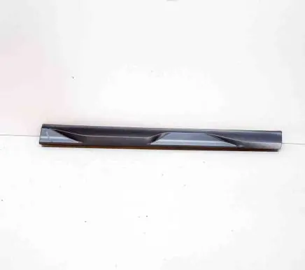 Front door trim (molding)