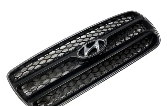 Hyundai Santa Fe Front bumper upper radiator grill E865612B000