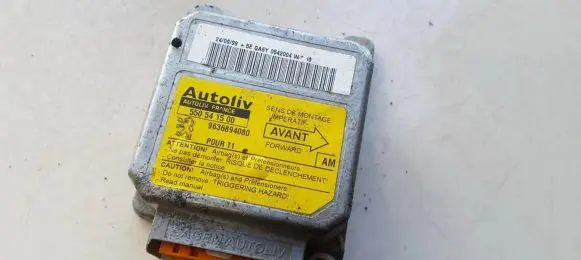 Peugeot 206 Airbag control unit/module 9636894080 550541500