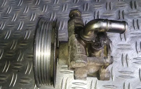 Seat Toledo II (1M) Power steering pump