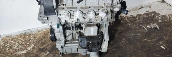 Skoda Fabia Mk3 (NJ) Engine CJZ250404