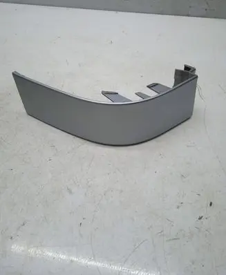 Rear/tail light trim molding