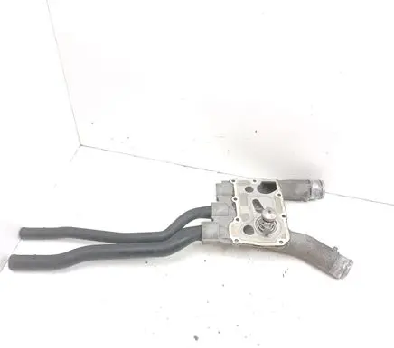 Thermostat/thermostat housing
