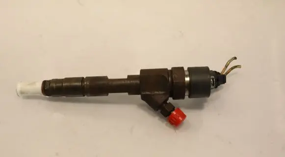 Renault Scenic II - Grand scenic II Fuel injector 0445110110