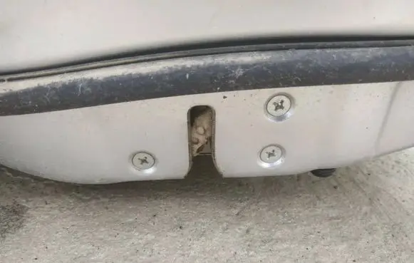 Honda Civic Front door lock