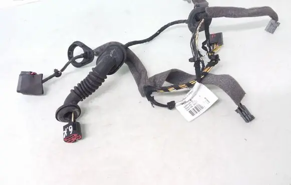 Rear door wiring loom