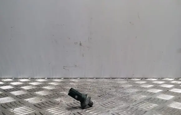 Skoda Yeti (5L) Oil pressure sensor 036919081C