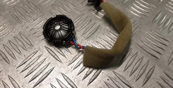 Front door high frequency speaker