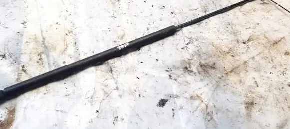 Audi A4 S4 B6 8E 8H Tailgate/trunk strut/damper