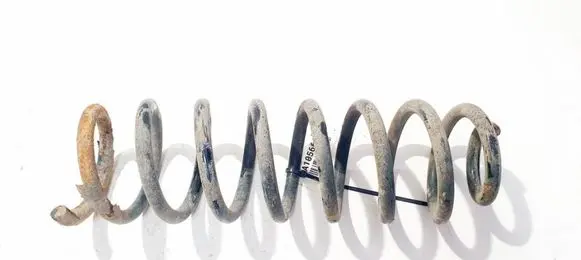 Renault Megane II Rear coil spring