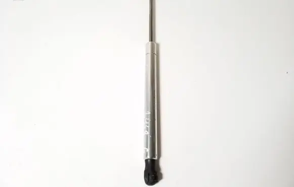 Tailgate strut
