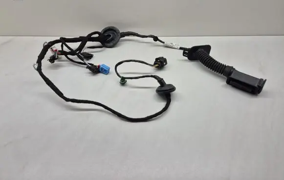 Volkswagen Touareg III Rear door wiring loom 760971694BF