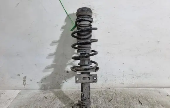 Seat Ibiza IV (6J,6P) Front shock absorber/damper 6R0413031F