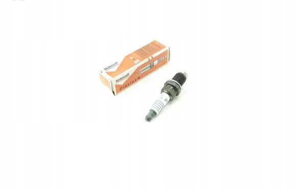 Ford Transit Spark plug AGPR902P