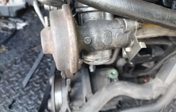 EGR valve