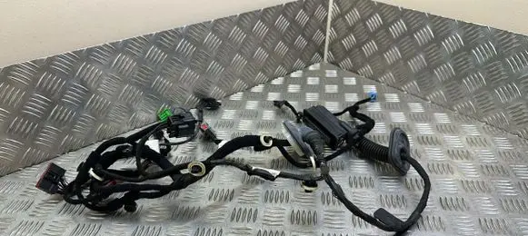 Jaguar F-Pace Front door wiring loom JK8314631 JK8314631BSB