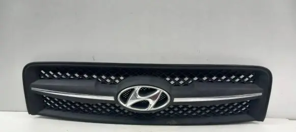 Hyundai Tucson JM Front grill