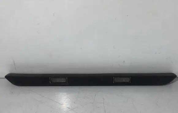 Trunk door license plate light bar