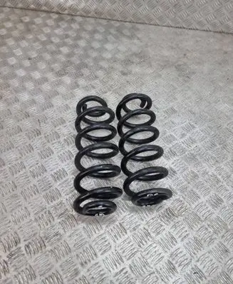 Rear coil spring