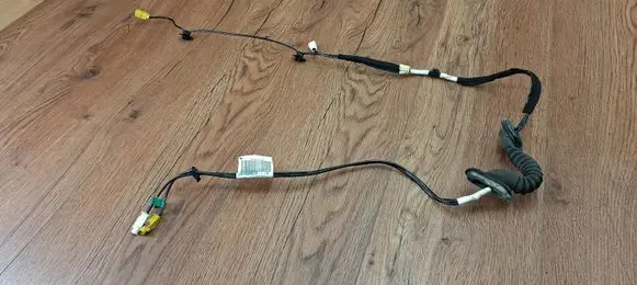 Renault Laguna III Tailgate/trunk wiring harness 282450002R