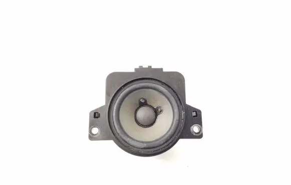 Front door speaker