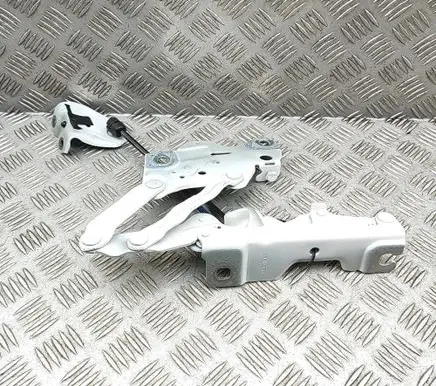BMW X5 G05 Engine bonnet/hood hinges 7418201 7418188