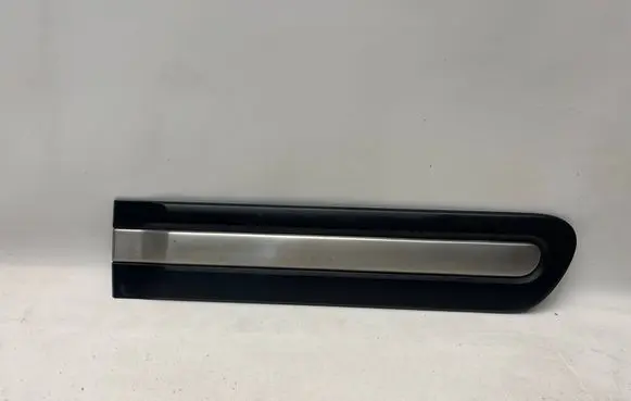 Fiat 500L Rear door trim (molding) 7355509J