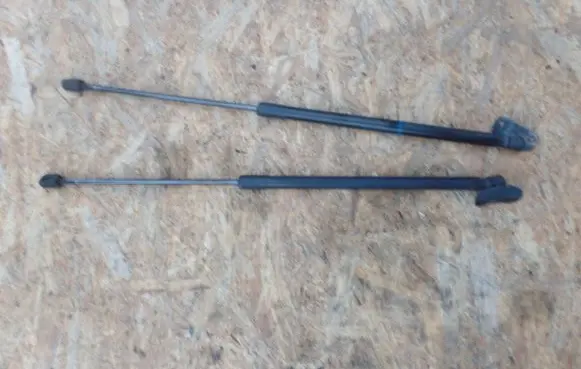 Tailgate/trunk strut/damper